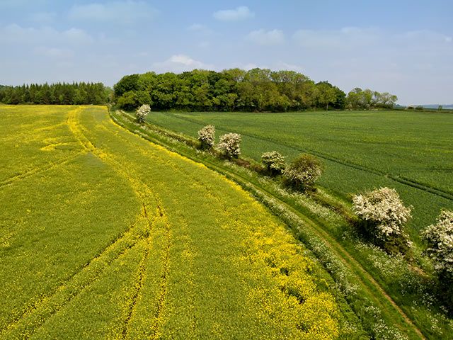 Ecological Appraisals